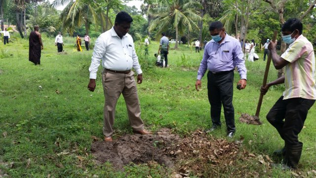 Tree Plantation at GA Bungalow